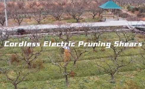 Cordless Electric Pruning Shears